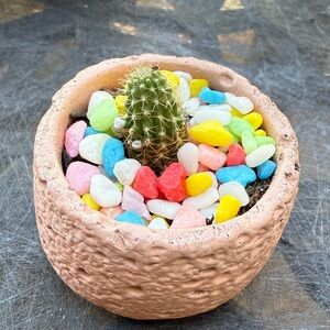 Small Textured Pot